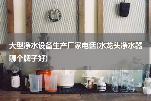 大型净水设备生产厂家电话(水龙头净水器哪个牌子好)