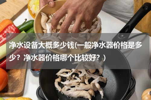 净水设备大概多少钱(一般净水器价格是多少？净水器价格哪个比较好？)