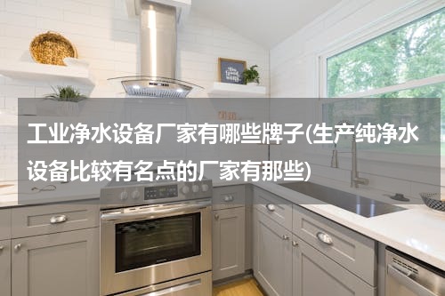 工业净水设备厂家有哪些牌子(生产纯净水设备比较有名点的厂家有那些)