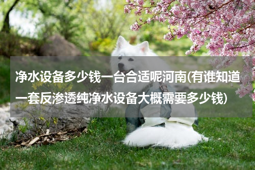 净水设备多少钱一台合适呢河南(有谁知道一套反渗透纯净水设备大概需要多少钱)