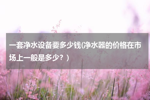 一套净水设备要多少钱(净水器的价格在市场上一般是多少？)