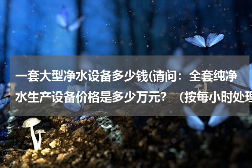 一套大型净水设备多少钱(请问：全套纯净水生产设备价格是多少万元？（按每小时处理5吨水计算）)