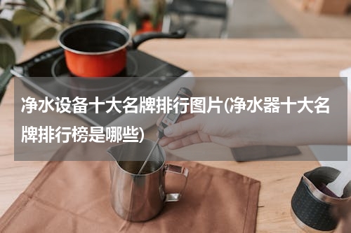 净水设备十大名牌排行图片(净水器十大名牌排行榜是哪些)