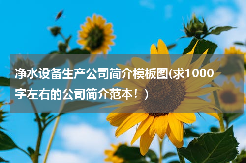 净水设备生产公司简介模板图(求1000字左右的公司简介范本！)