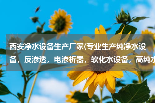 西安净水设备生产厂家(专业生产纯净水设备，反渗透，电渗析器，软化水设备，高纯水设备，超滤，微滤，锅炉软化的 厂家？西安有吗？)