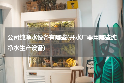公司纯净水设备有哪些(开水厂要用哪些纯净水生产设备)