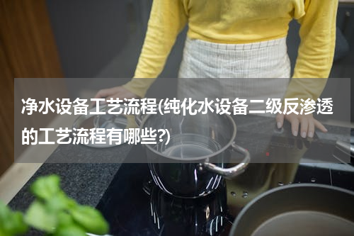 净水设备工艺流程(纯化水设备二级反渗透的工艺流程有哪些?)