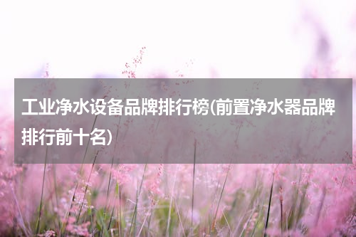 工业净水设备品牌排行榜(前置净水器品牌排行前十名)
