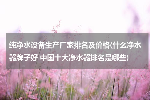 纯净水设备生产厂家排名及价格(什么净水器牌子好 中国十大净水器排名是哪些)
