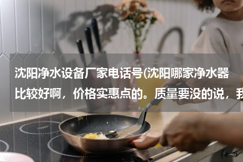 沈阳净水设备厂家电话号(沈阳哪家净水器比较好啊，价格实惠点的。质量要没的说，我要买大品牌的)