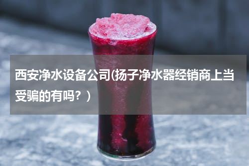 西安净水设备公司(扬子净水器经销商上当受骗的有吗？)