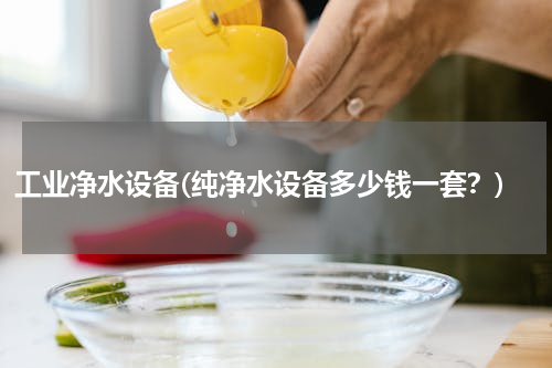 工业净水设备(纯净水设备多少钱一套？)