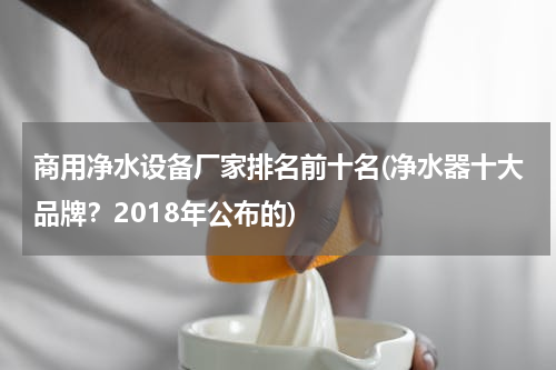 商用净水设备厂家排名前十名(净水器十大品牌？2018年公布的)