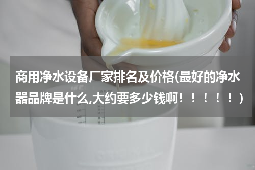 商用净水设备厂家排名及价格(最好的净水器品牌是什么,大约要多少钱啊！！！！！)