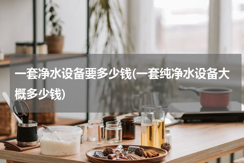 一套净水设备要多少钱(一套纯净水设备大概多少钱)