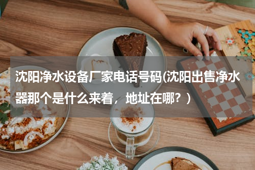 沈阳净水设备厂家电话号码(沈阳出售净水器那个是什么来着，地址在哪？)
