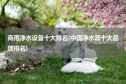 商用净水设备十大排名(中国净水器十大品牌排名)