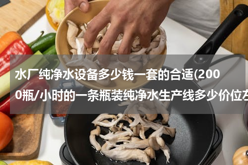 水厂纯净水设备多少钱一套的合适(2000瓶/小时的一条瓶装纯净水生产线多少价位左右)