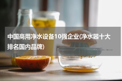 中国商用净水设备10强企业(净水器十大排名国内品牌)