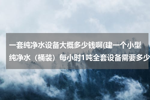 一套纯净水设备大概多少钱啊(建一个小型纯净水（桶装）每小时1吨全套设备需要多少钱？)