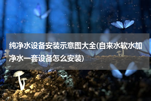 纯净水设备安装示意图大全(自来水软水加净水一套设备怎么安装)