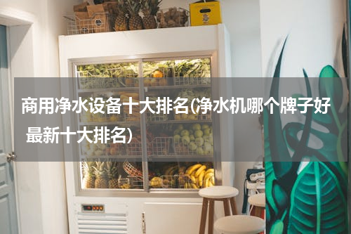 商用净水设备十大排名(净水机哪个牌子好 最新十大排名)