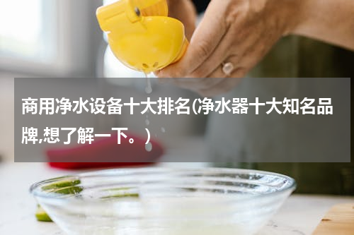 商用净水设备十大排名(净水器十大知名品牌,想了解一下。)
