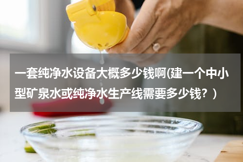 一套纯净水设备大概多少钱啊(建一个中小型矿泉水或纯净水生产线需要多少钱？)