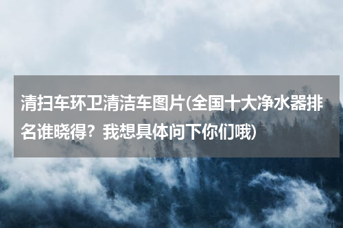 清扫车环卫清洁车图片(全国十大净水器排名谁晓得？我想具体问下你们哦)