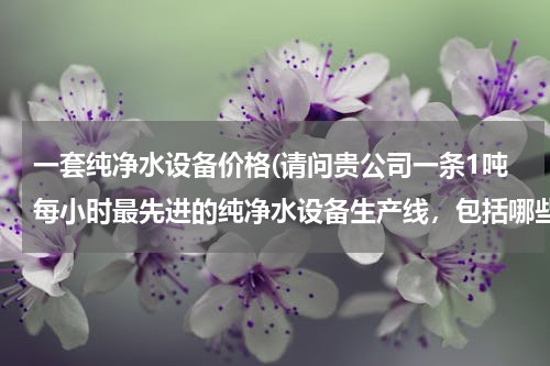 一套纯净水设备价格(请问贵公司一条1吨每小时最先进的纯净水设备生产线，包括哪些设备多少钱。谢谢)