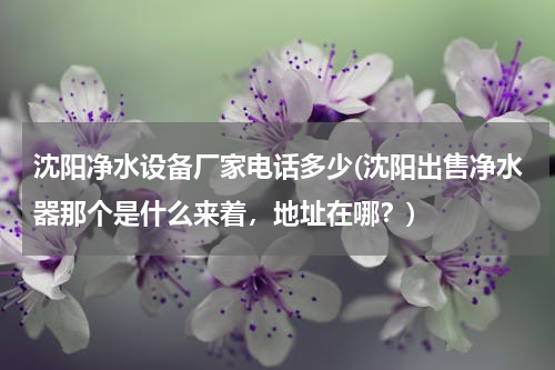 沈阳净水设备厂家电话多少(沈阳出售净水器那个是什么来着，地址在哪？)
