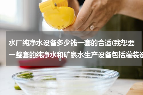 水厂纯净水设备多少钱一套的合适(我想要一整套的纯净水和矿泉水生产设备包括灌装设备（桶装和瓶装）大约需要多少钱啊?急急急急急)