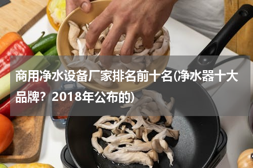 商用净水设备厂家排名前十名(净水器十大品牌？2018年公布的)