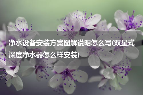 净水设备安装方案图解说明怎么写(双星式深度净水器怎么样安装)