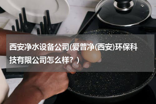 西安净水设备公司(爱普净(西安)环保科技有限公司怎么样？)