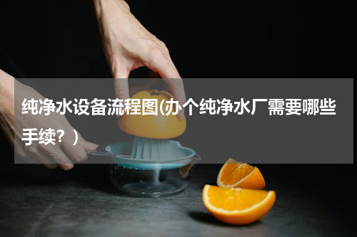 纯净水设备流程图(办个纯净水厂需要哪些手续？)