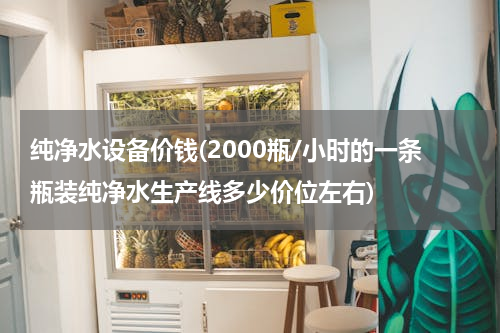 纯净水设备价钱(2000瓶/小时的一条瓶装纯净水生产线多少价位左右)