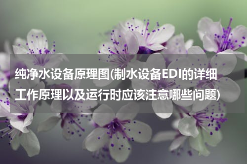 纯净水设备原理图(制水设备EDI的详细工作原理以及运行时应该注意哪些问题)