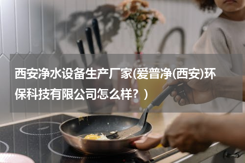 西安净水设备生产厂家(爱普净(西安)环保科技有限公司怎么样？)