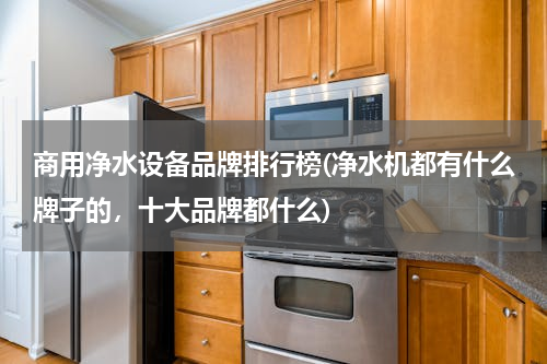 商用净水设备品牌排行榜(净水机都有什么牌子的，十大品牌都什么)