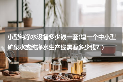 小型纯净水设备多少钱一套(建一个中小型矿泉水或纯净水生产线需要多少钱？)