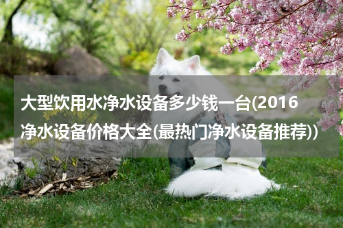 大型饮用水净水设备多少钱一台(2016净水设备价格大全(最热门净水设备推荐))