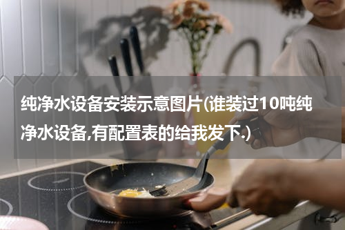 纯净水设备安装示意图片(谁装过10吨纯净水设备,有配置表的给我发下.)