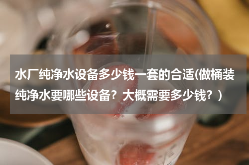 水厂纯净水设备多少钱一套的合适(做桶装纯净水要哪些设备？大概需要多少钱？)