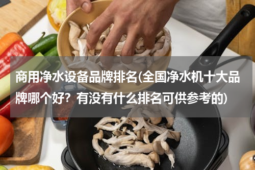 商用净水设备品牌排名(全国净水机十大品牌哪个好？有没有什么排名可供参考的)