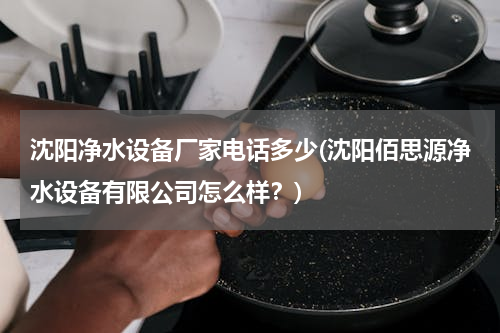 沈阳净水设备厂家电话多少(沈阳佰思源净水设备有限公司怎么样？)