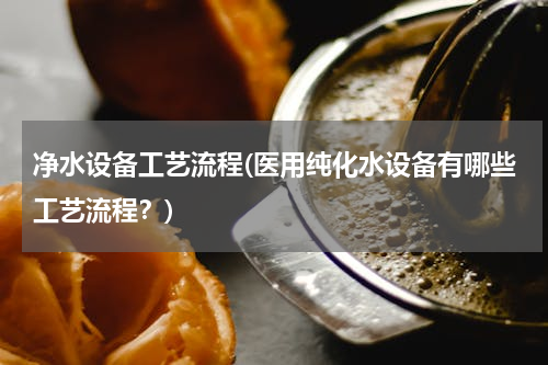 净水设备工艺流程(医用纯化水设备有哪些工艺流程？)