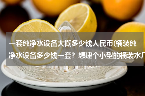一套纯净水设备大概多少钱人民币(桶装纯净水设备多少钱一套？想建个小型的桶装水厂，买设备需要多少钱？)