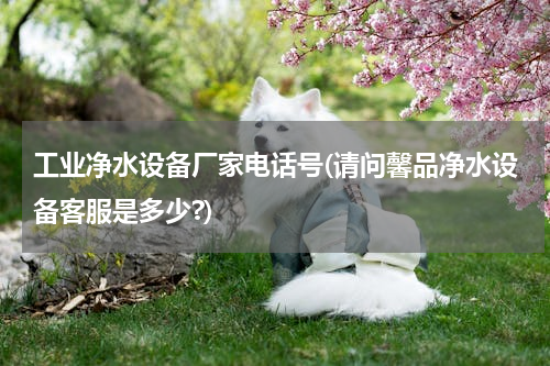 工业净水设备厂家电话号(请问馨品净水设备客服是多少?)