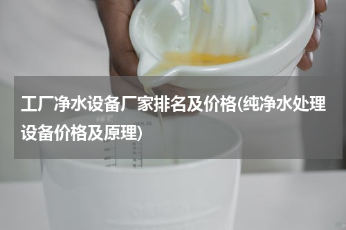 工厂净水设备厂家排名及价格(纯净水处理设备价格及原理)